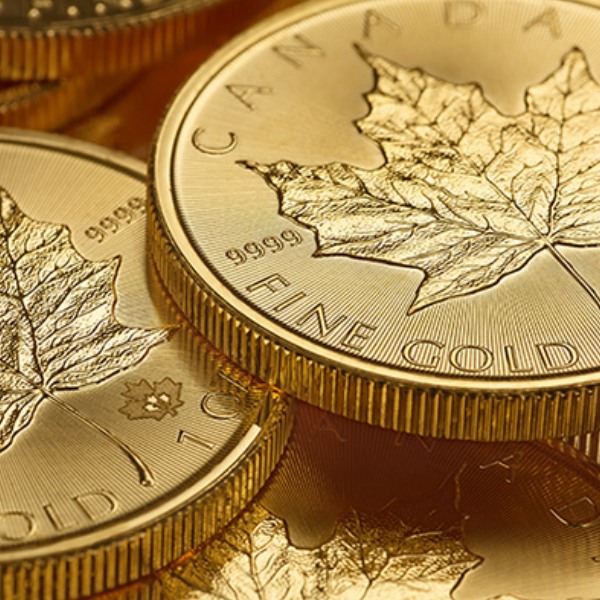 Best Royal Canadian Mint Investment Products