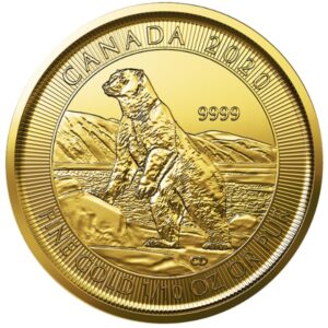 2020 1/10 Oz Gold Canadian Polar Bear Coin